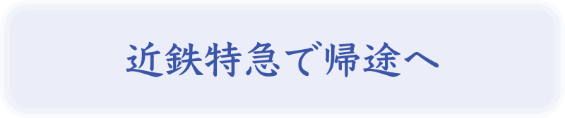 近鉄特急で帰途