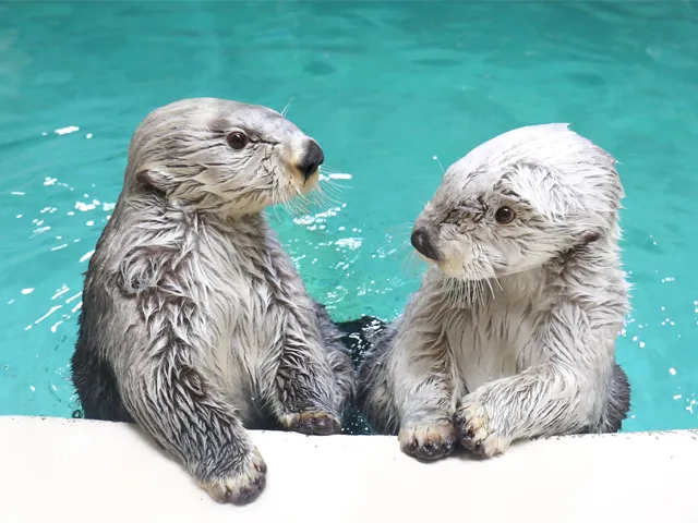 鳥羽水族館