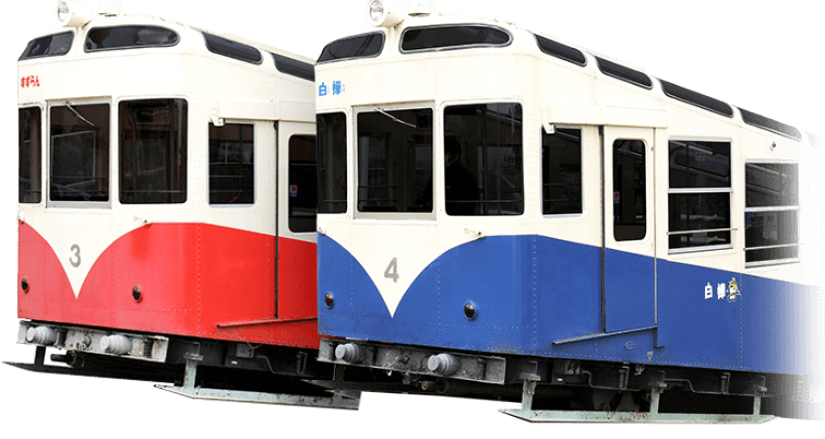 すずらん 白樺（しらかば）