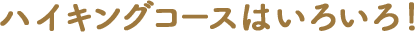 ハイキングコースはいろいろ！