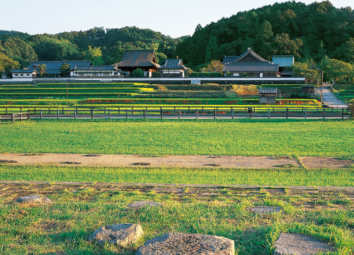 飛鳥コース①（高松塚古墳～石舞台古墳～岡寺）